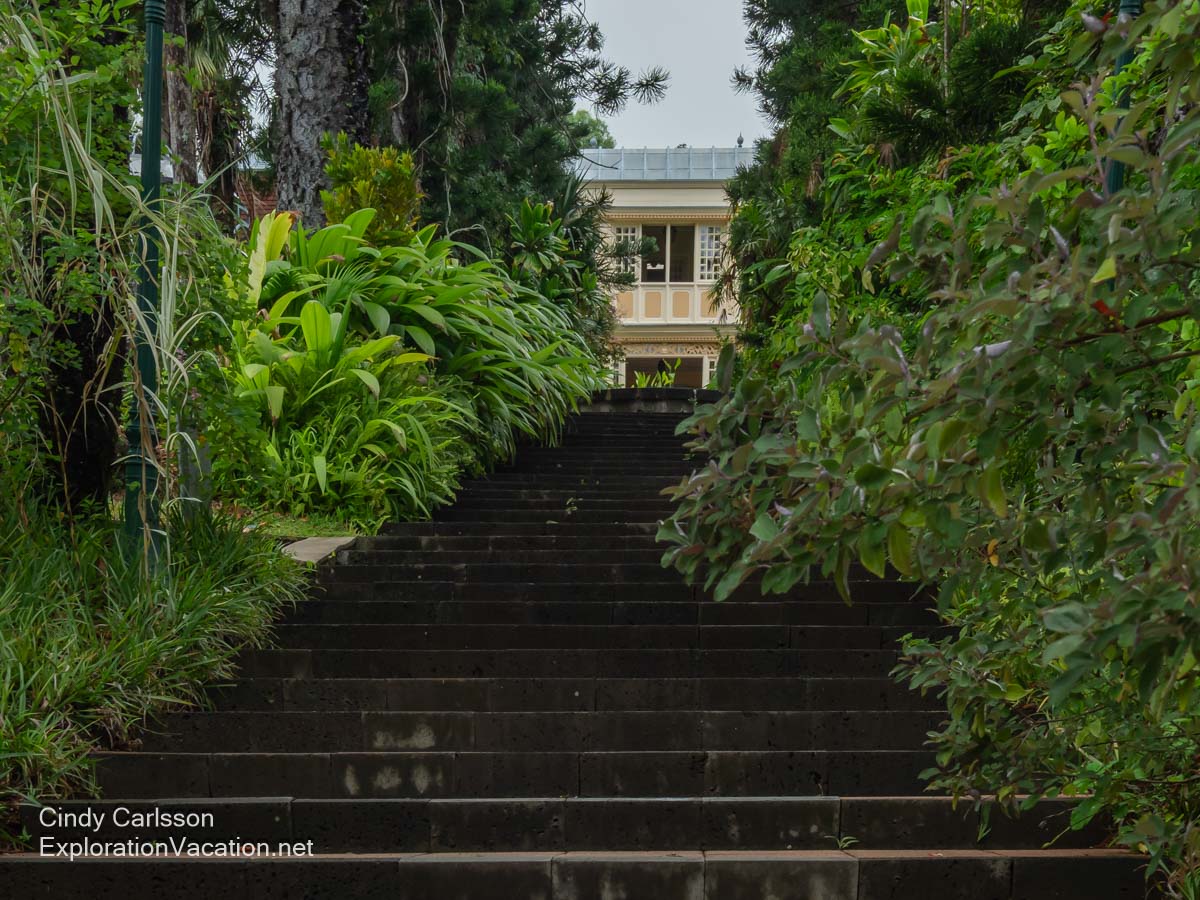 A bit of a Creole mansion above tree-lined stairs.