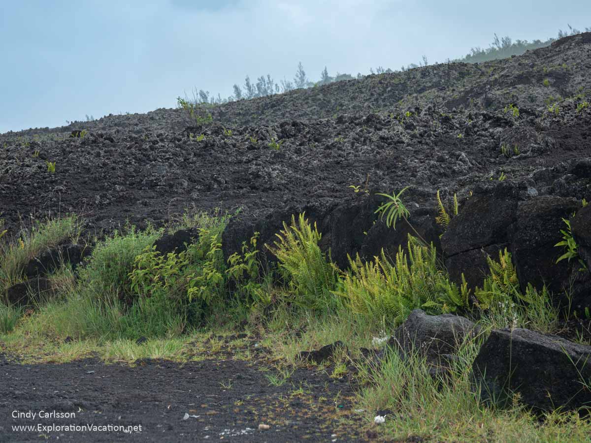 A hill of old lava along a road.