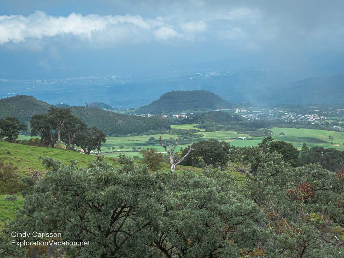 A lush landscape of woodlands and meadows with the coast in the distance. 