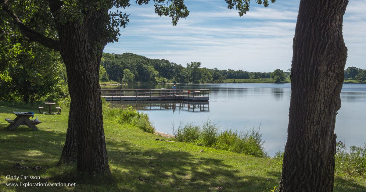 A very green lawn around a lake with a large dock and scattered trees.